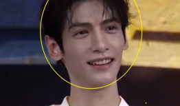 致91岁双胞胎直播笔记,跨越世纪的云端对话